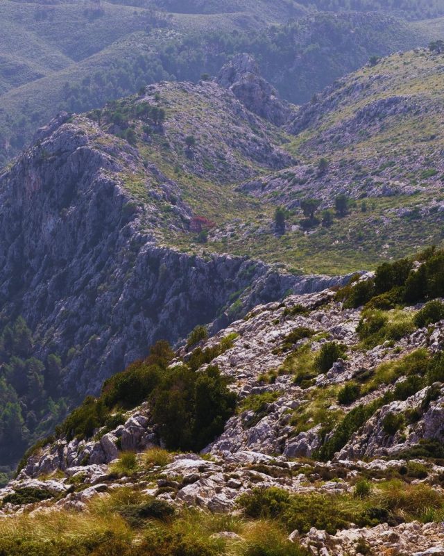 Puig de Galatzo mallorca